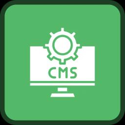 Icon representing CMS-based Website Development